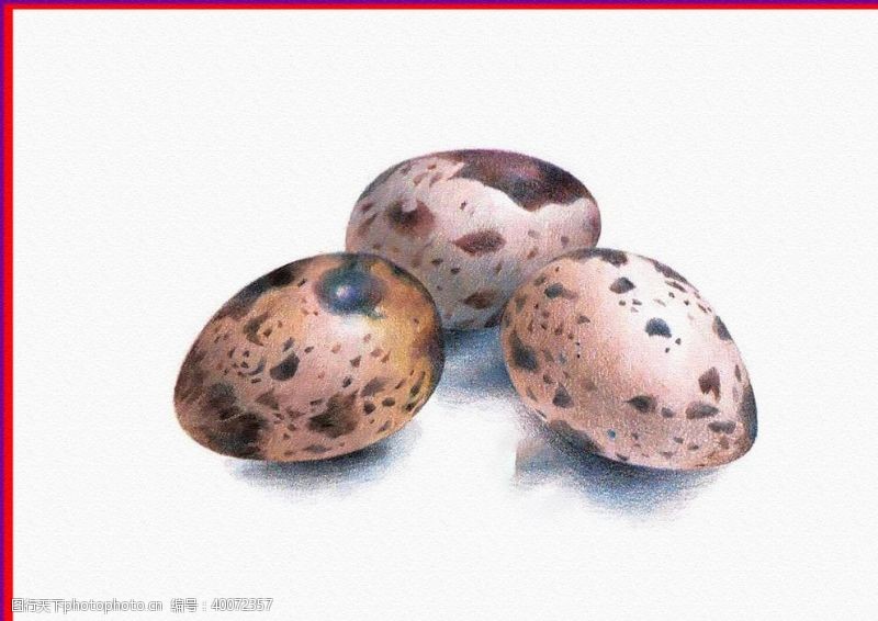 油画色彩蛋壳图片