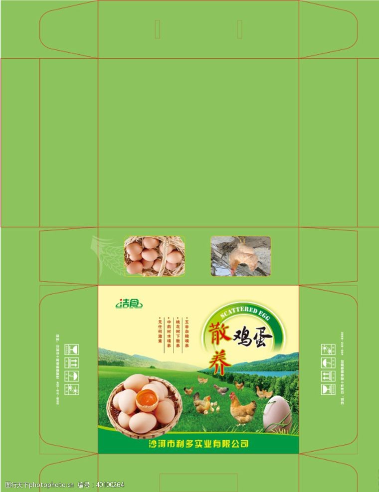 绿色鸡蛋广告鸡蛋包装图片
