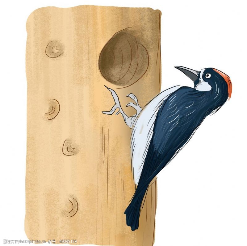 鸟素材卡通手绘啄木鸟图片