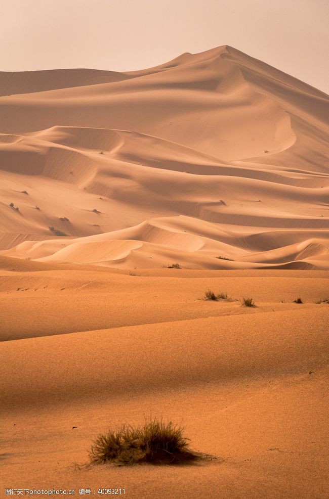 荒凉沙漠图片
