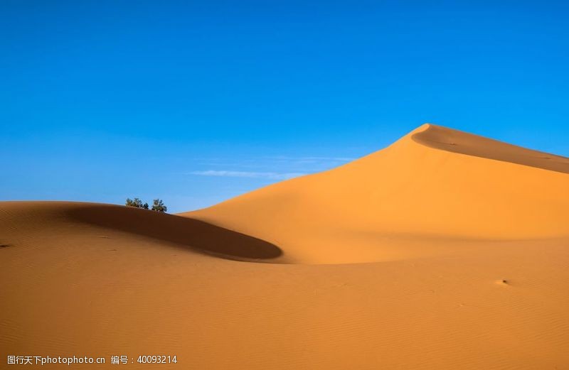 金黄色沙漠沙漠图片