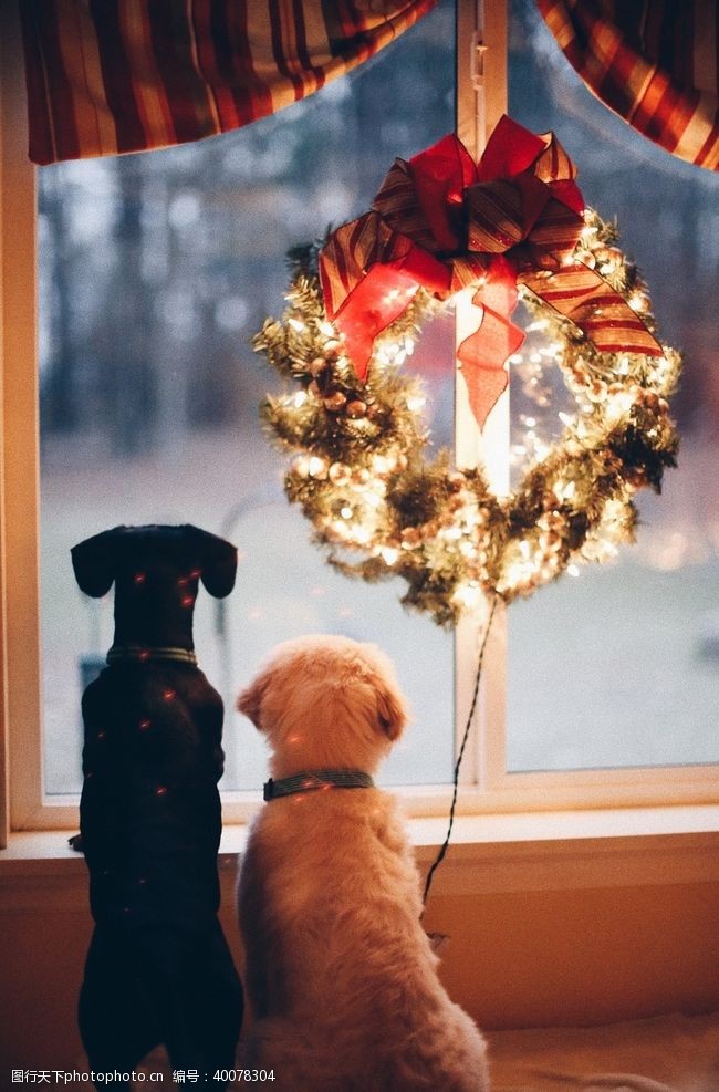 人与狗圣诞节图片