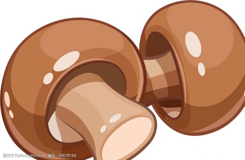 蘑菇素材矢量手绘香菇图片