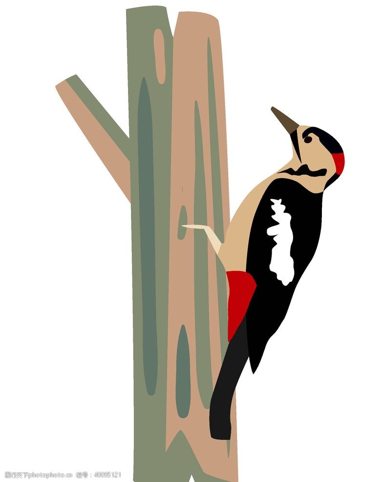 动物形象矢量手绘啄木鸟图片