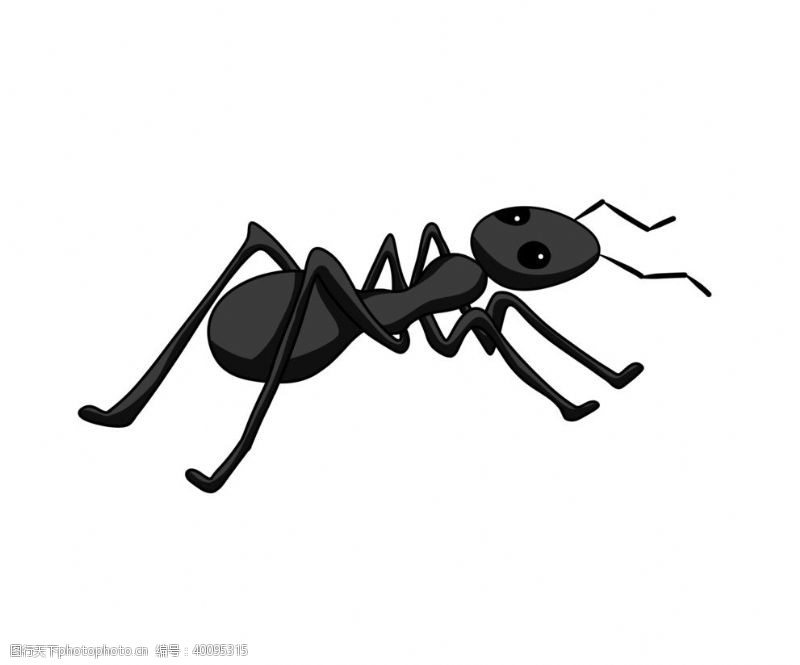 手绘插画蚂蚁图片