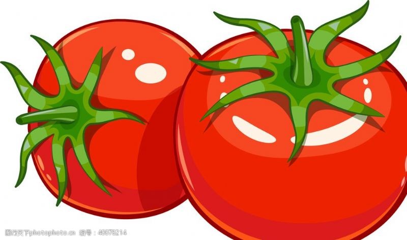 柿果手绘矢量西红柿图片