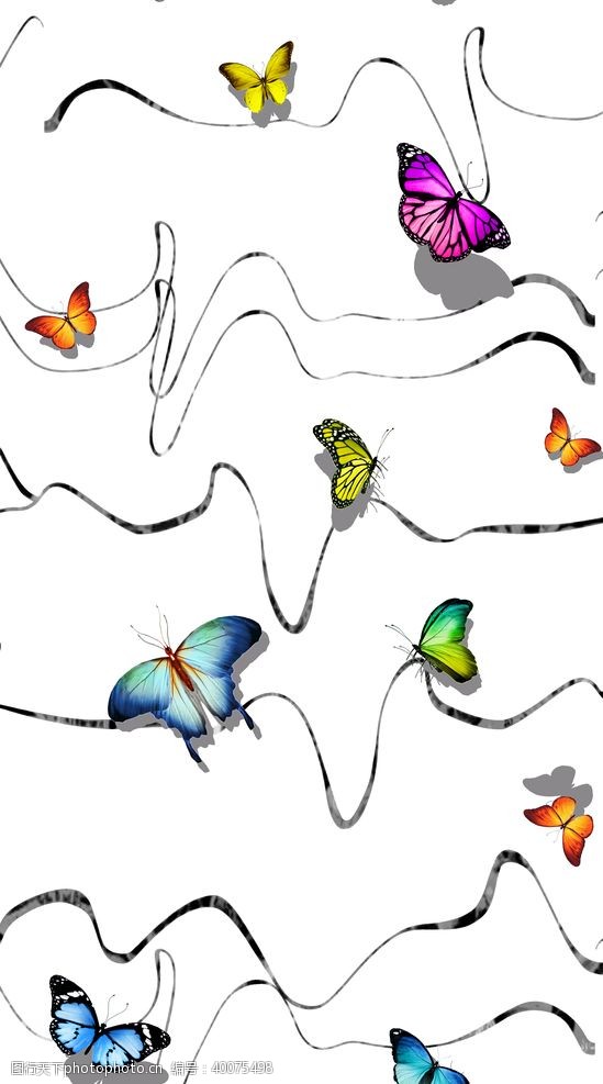 蝴蝶数码印花图片