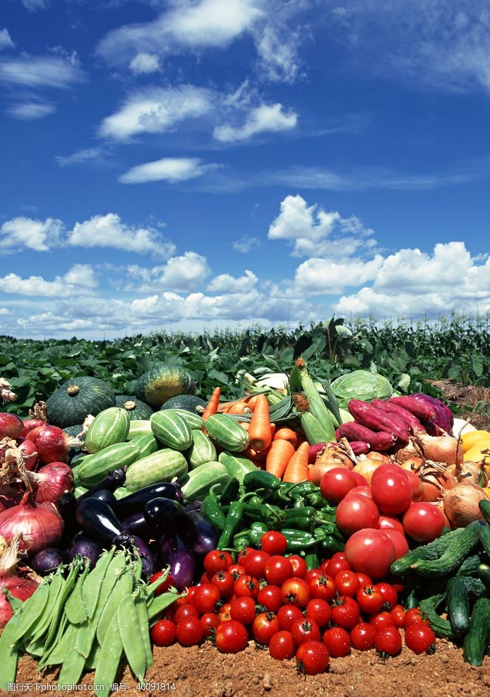 绿色食品田园蔬菜图片