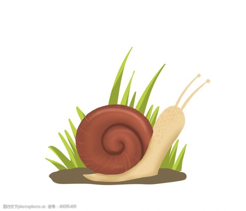 蜗牛插画素材图片