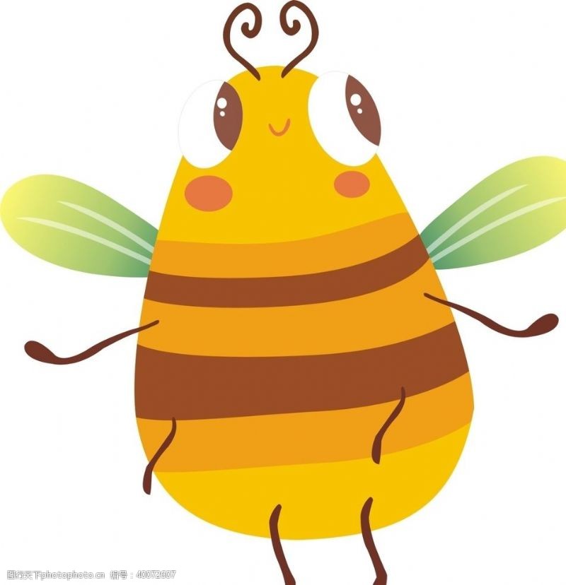蜂蜜小蜜蜂图片