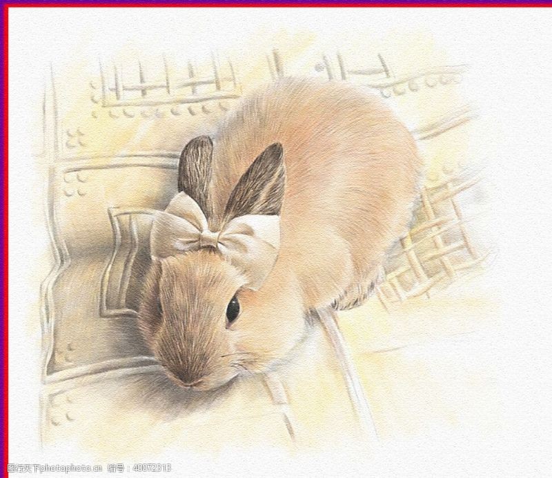 油画色彩小兔子图片