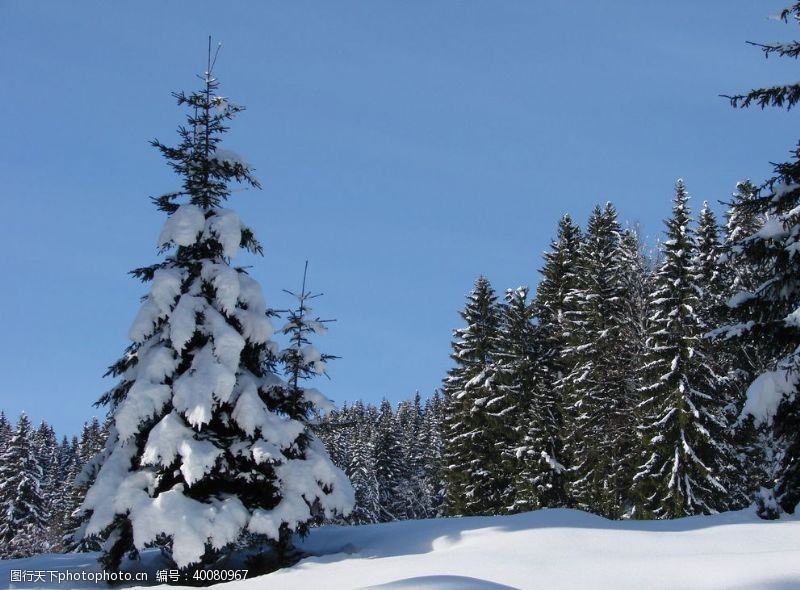 滑雪素材雪景图片