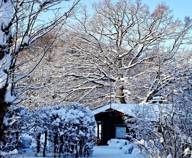 滑雪素材雪景图片