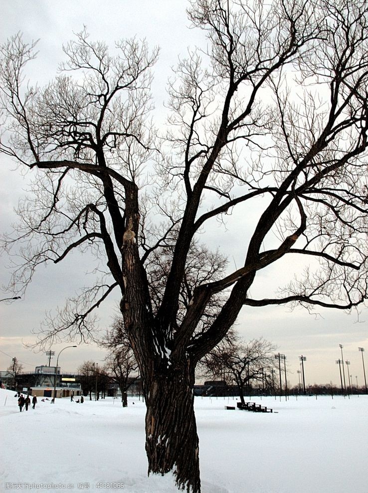 滑雪雪景图片