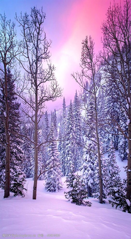 唯美背景雪景图片