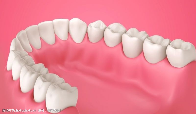 医术牙齿模型图片