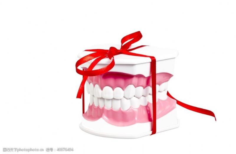 医院牙科牙齿模型图片