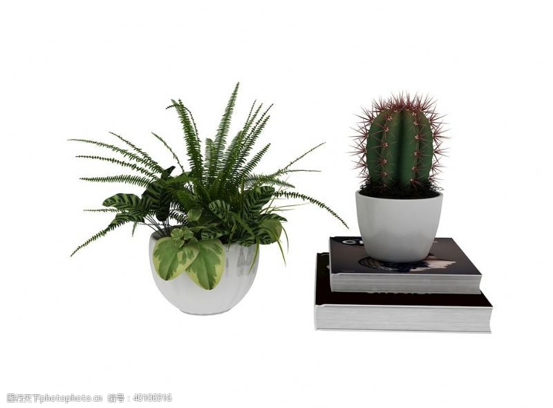 3d模型人物植物盆栽3d模型图片