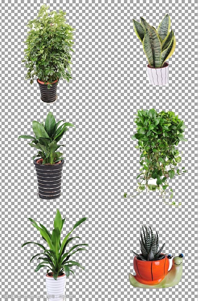 透明元素植物盆栽图片