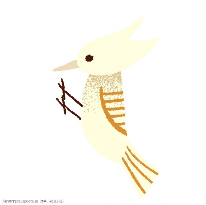 矢量印花啄木鸟插画素材图片