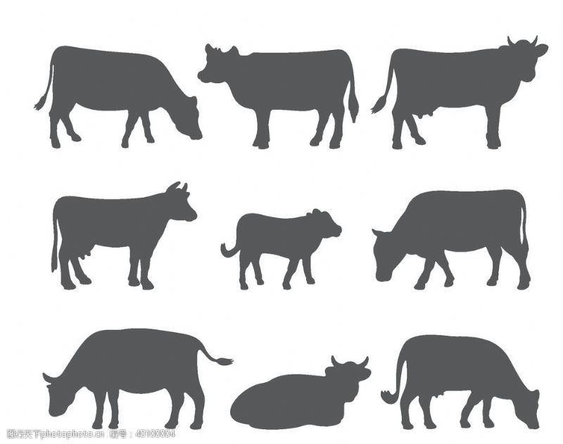 各种各样的牛剪影形态图片