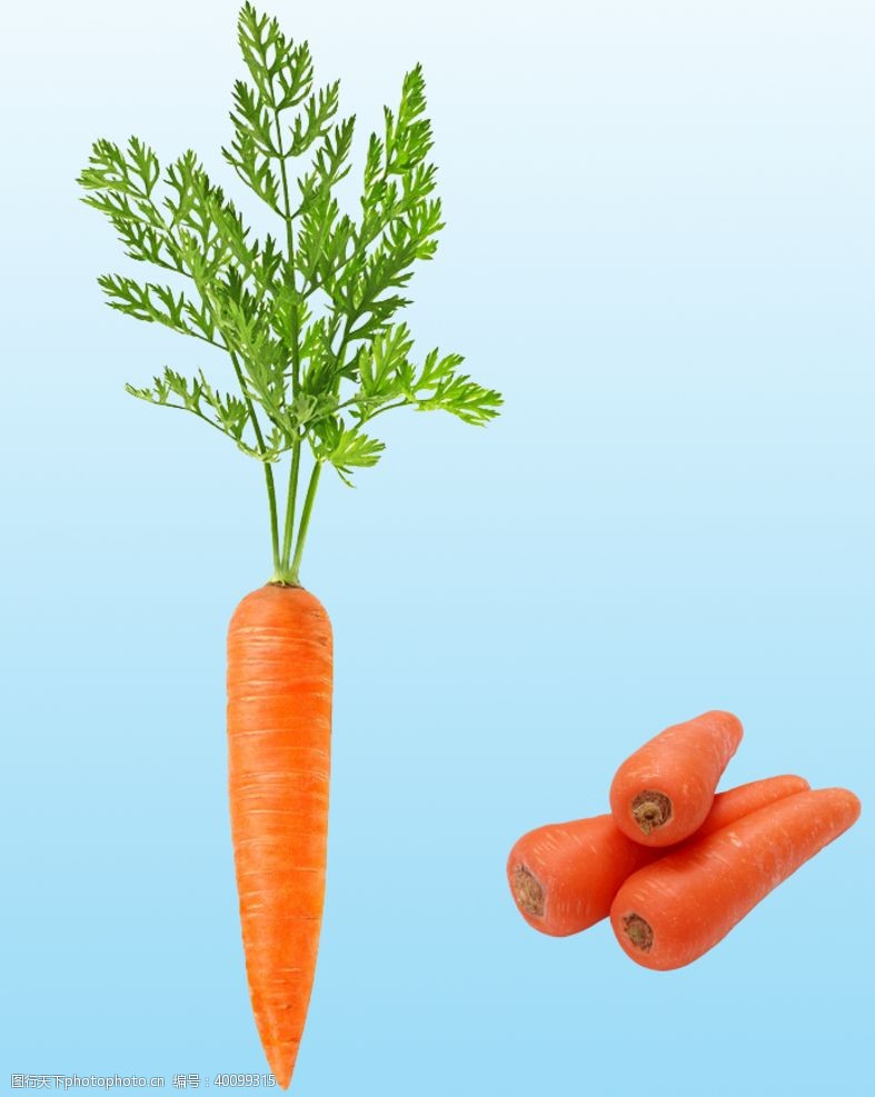 蔬菜胡萝卜胡萝卜图片