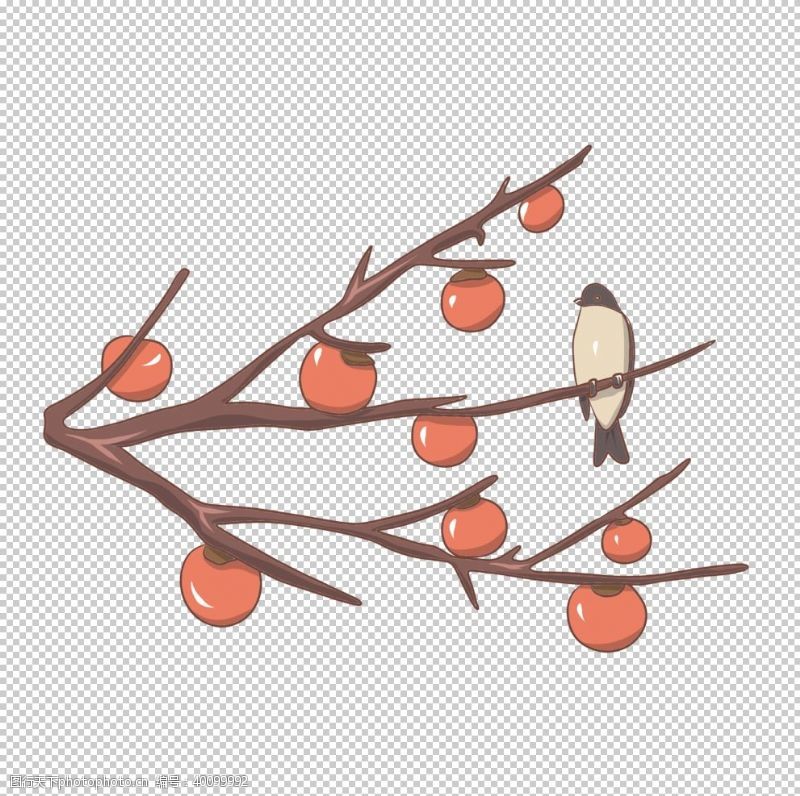 卡通树枝柿子冬季图片