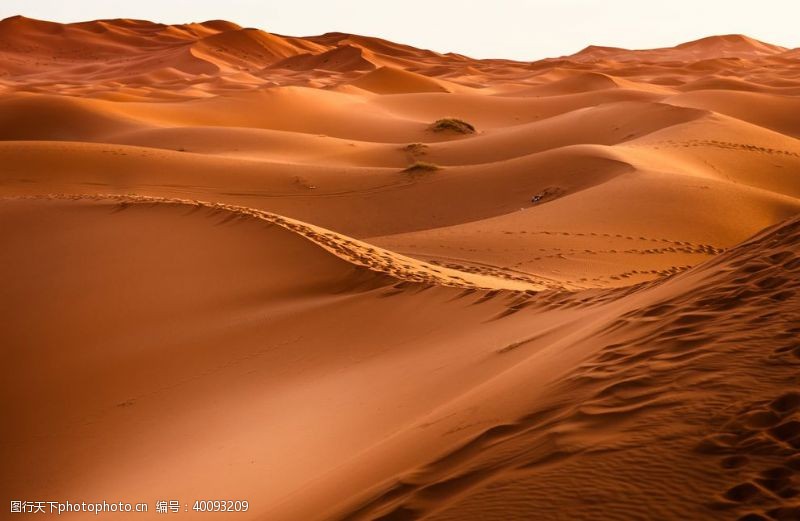 沙漠化沙漠图片