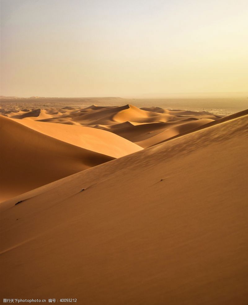 金黄色沙漠沙漠图片