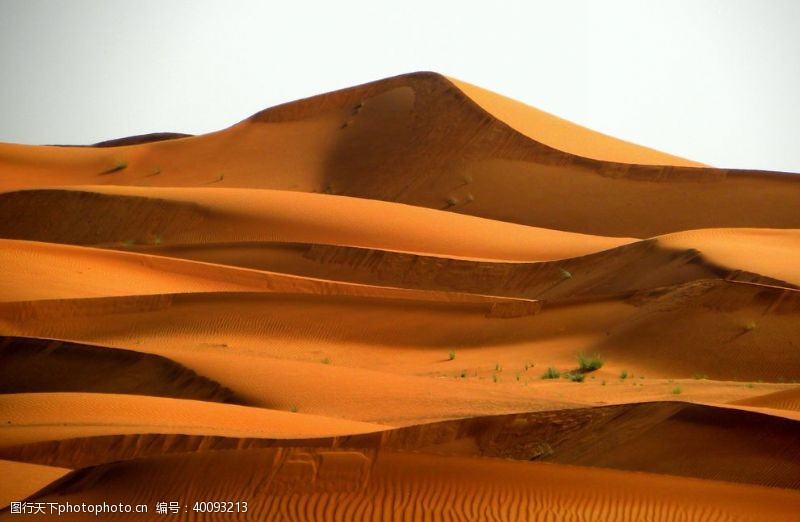 绿化荒漠沙漠图片