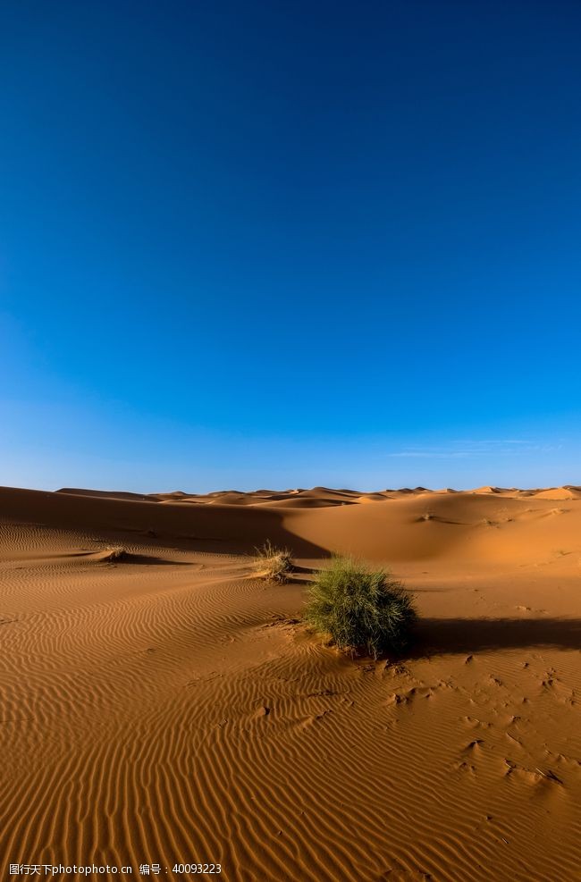 自治区沙漠图片