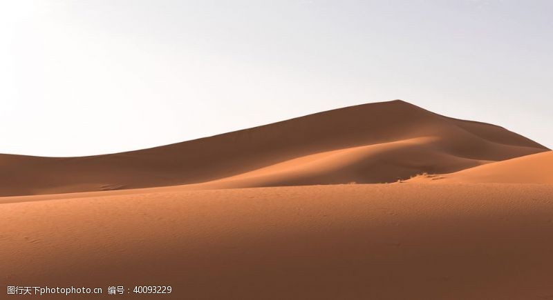 绿化荒漠沙漠图片