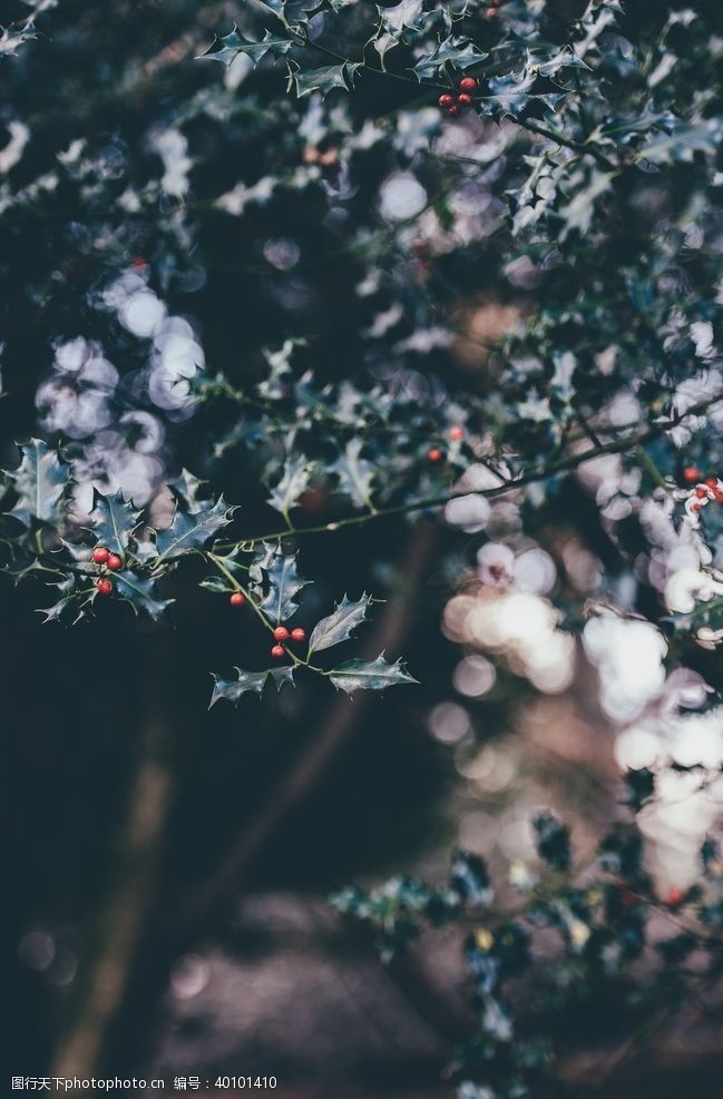 节日元素圣诞节图片