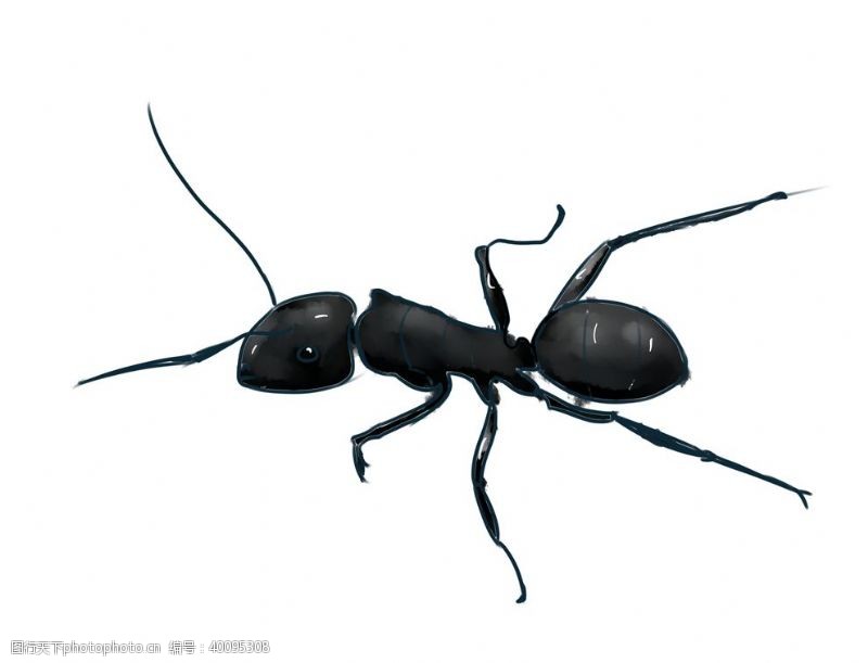 人物造型手绘蚂蚁图片