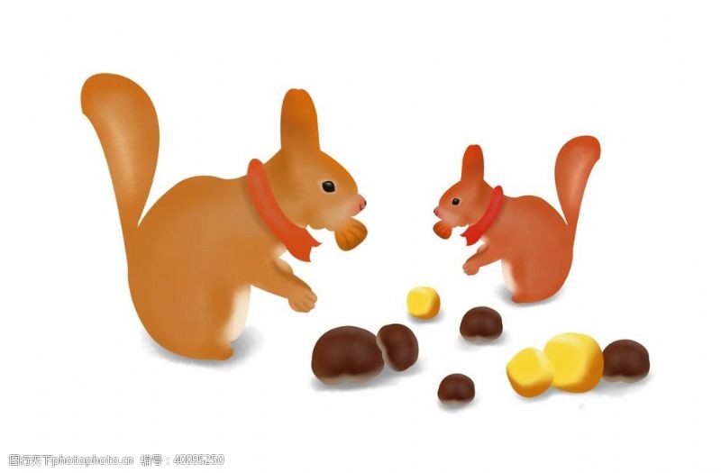 动物形象手绘松鼠插画图片