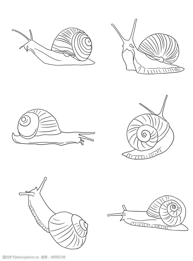 儿童绘本蜗牛线条插画图片