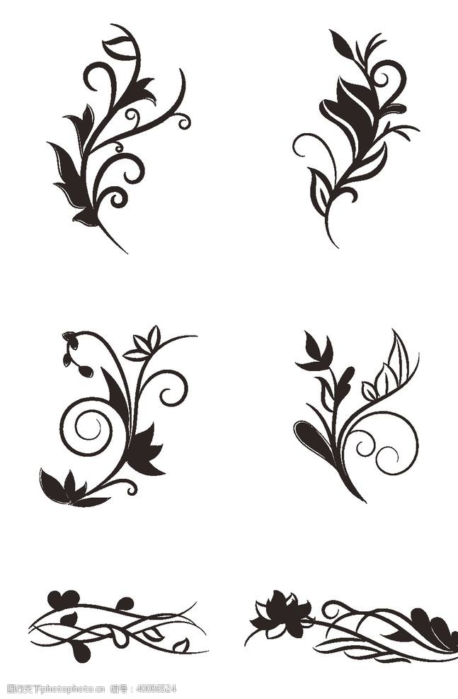 欧式复古花纹植物花纹图片