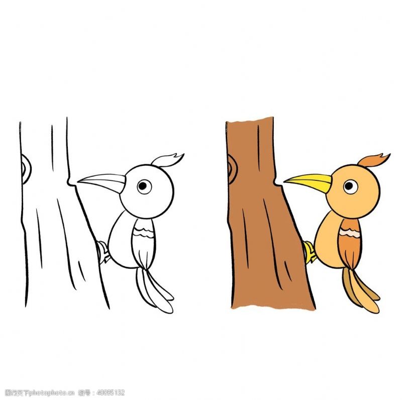 手绘鸟啄木鸟插画图片