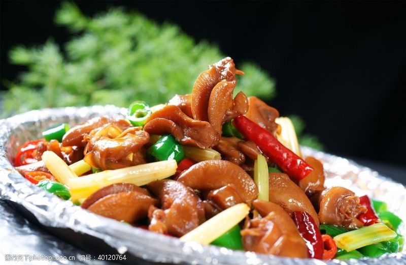 中国川菜图片