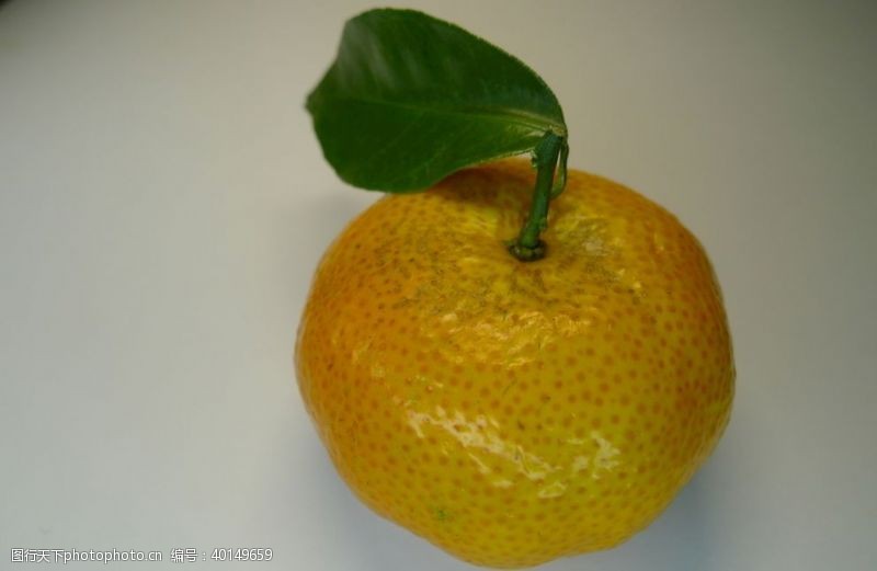 水果展架柑橘图片