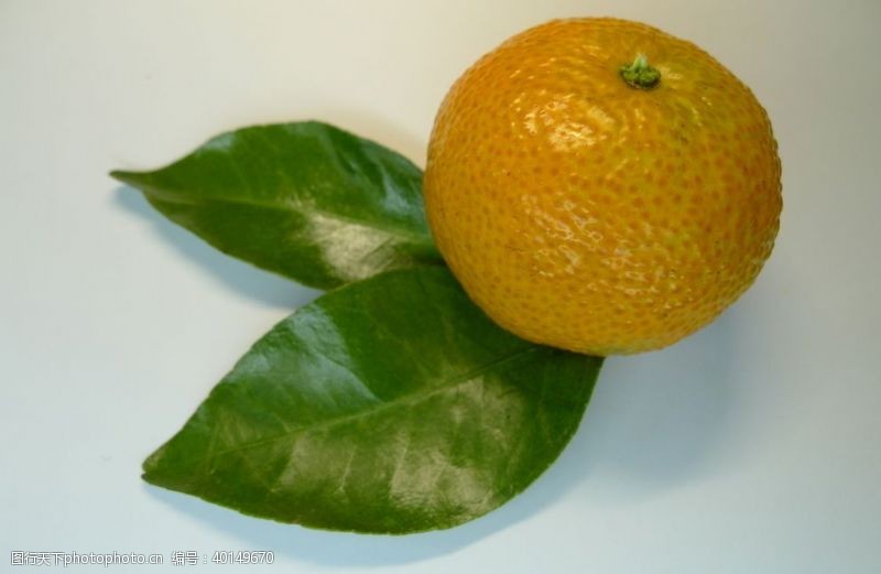 包子柑橘图片