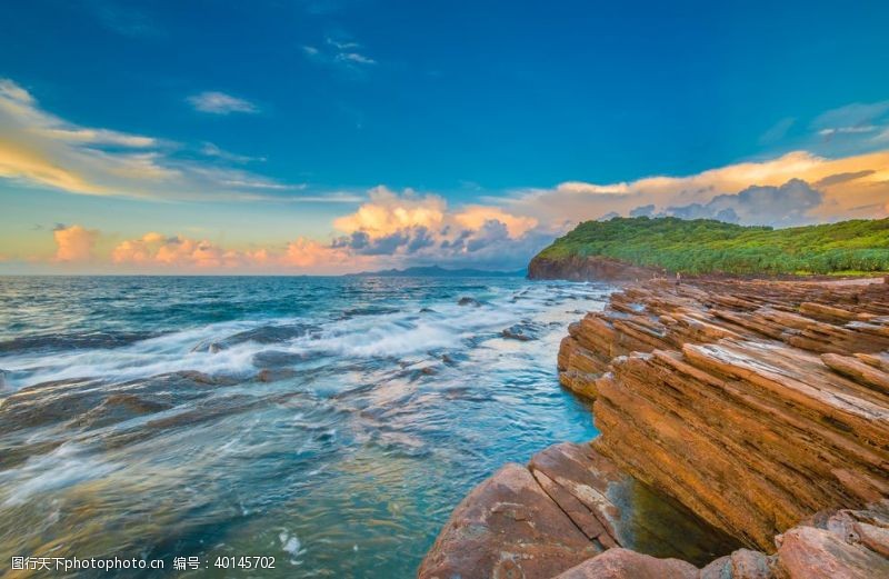 冰树叶海边图片