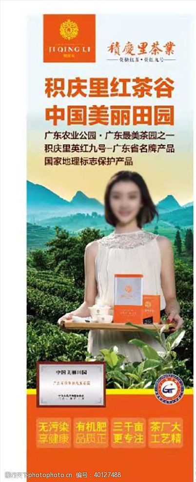 茶叶模板红茶英红九号茶叶茶园图片