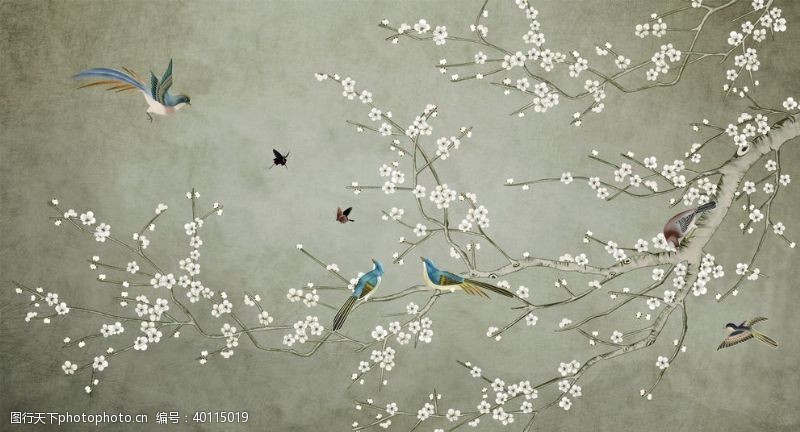 中国牡丹花花鸟素材图片