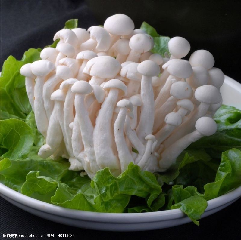 包火锅菌类配菜图片