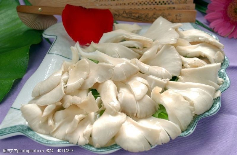 茶包装火锅菌类配菜图片