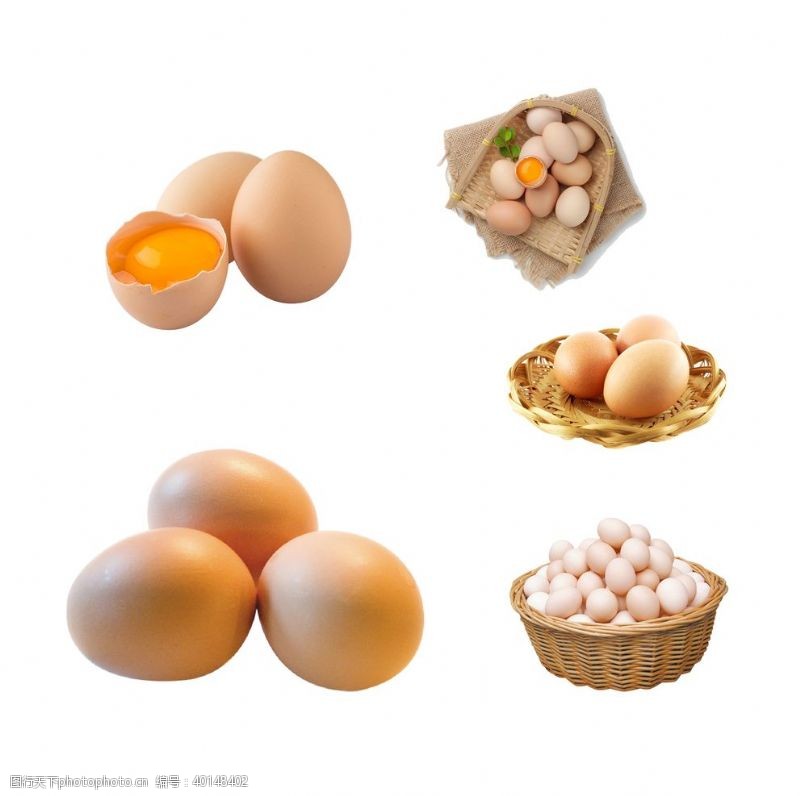 鸡蛋展板鸡蛋图片