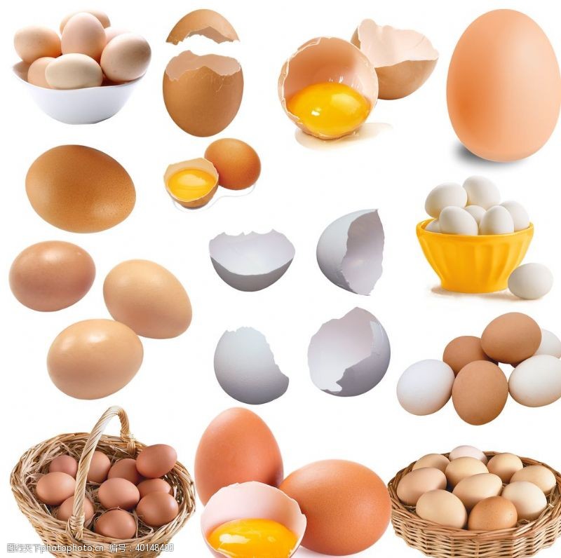 农场宣传单鸡蛋图片