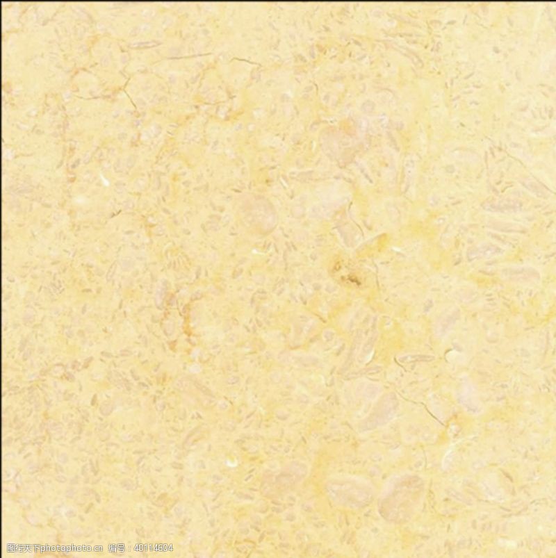 白花金世纪米黄图片