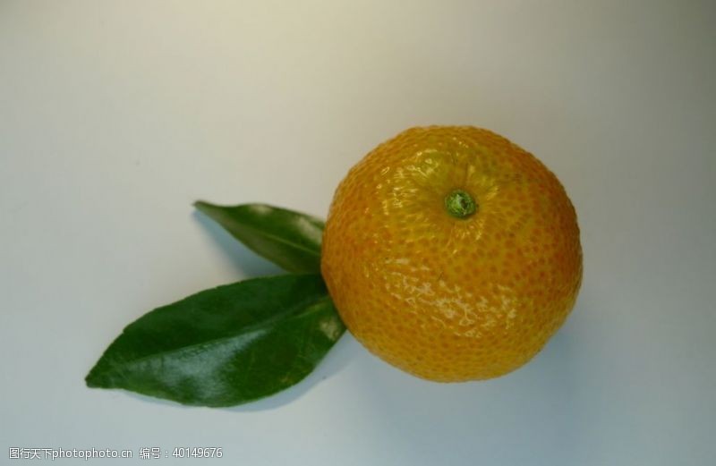 海鲜宣传橘子图片